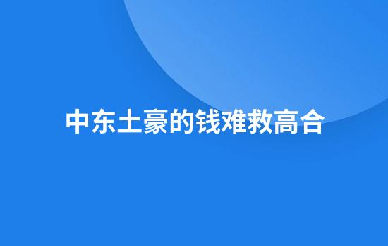 中东土豪的钱难救高合