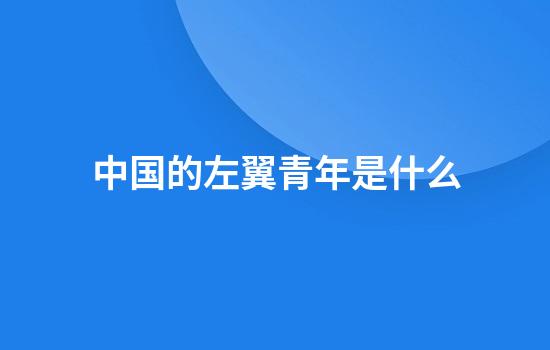中国的左翼青年是什么