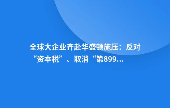 全球大企业齐赴华盛顿施压：反对“资本税”、取消“第899条款”