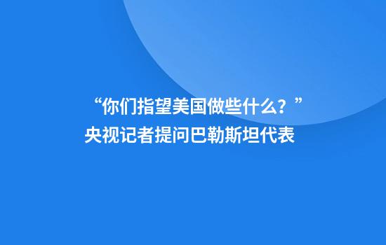 “你们指望美国做些什么？”央视记者提问巴勒斯坦代表