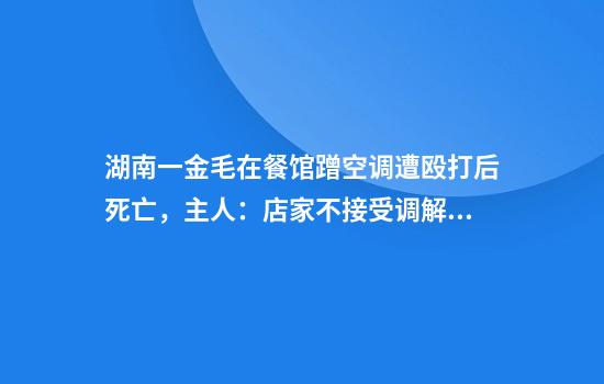 湖南一金毛在餐馆蹭空调遭殴打后死亡，主人：店家不接受调解，准备起诉