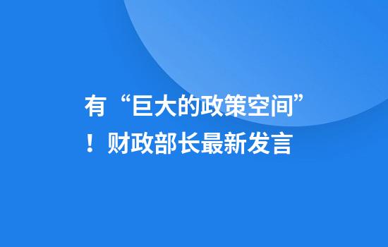 有“巨大的政策空间”！财政部长最新发言