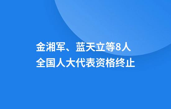 金湘军、蓝天立等8人全国人大代表资格终止