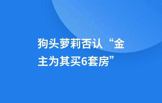 狗头萝莉否认“金主为其买6套房”