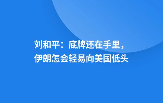 刘和平：底牌还在手里，伊朗怎会轻易向美国低头