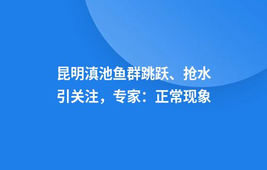 昆明滇池鱼群跳跃、抢水引关注，专家：正常现象