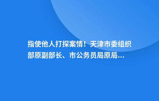 指使他人打探案情！天津市委组织部原副部长、市公务员局原局长（兼）李洪伟被双开