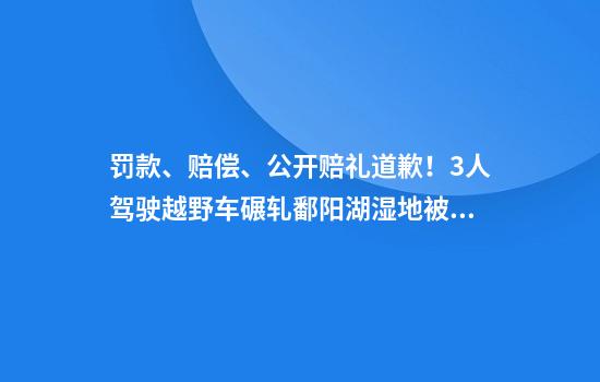 罚款、赔偿、公开赔礼道歉！3人驾驶越野车碾轧鄱阳湖湿地被处罚，系江西省首例