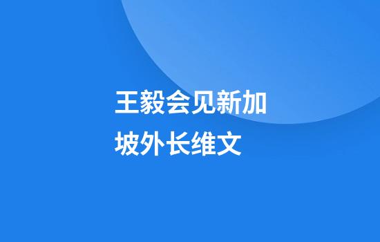 王毅会见新加坡外长维文