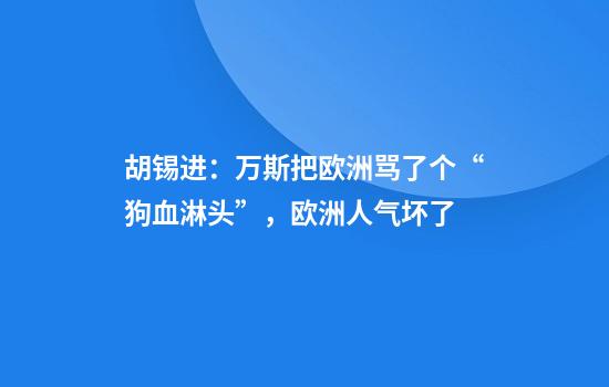 胡锡进:万斯把欧洲骂了个“狗血淋头”,欧洲人气坏了
