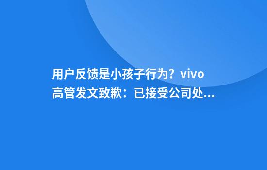 用户反馈是小孩子行为？vivo高管发文致歉：已接受公司处罚
