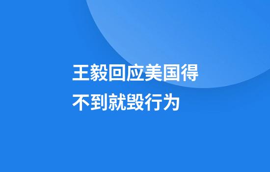 王毅回应美国得不到就毁行为