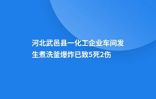 河北武邑县一化工企业车间发生煮洗釜爆炸已致5死2伤