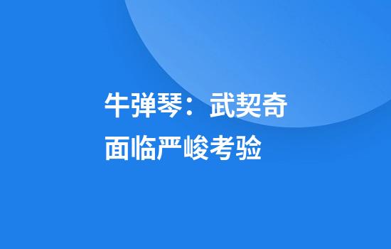 牛弹琴：武契奇面临严峻考验