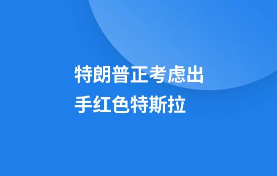 特朗普正考虑出手红色特斯拉