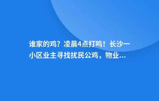 谁家的鸡?凌晨4点打鸣!长沙一小区业主寻找扰民公鸡,物业:在挨家挨户问