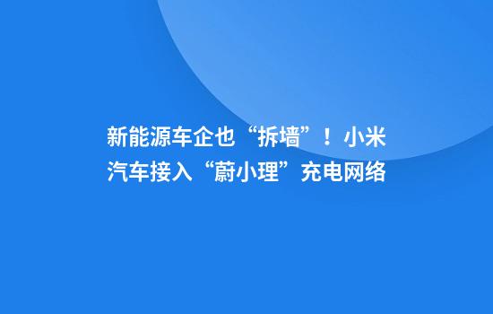 新能源车企也“拆墙”!小米汽车接入“蔚小理”充电网络