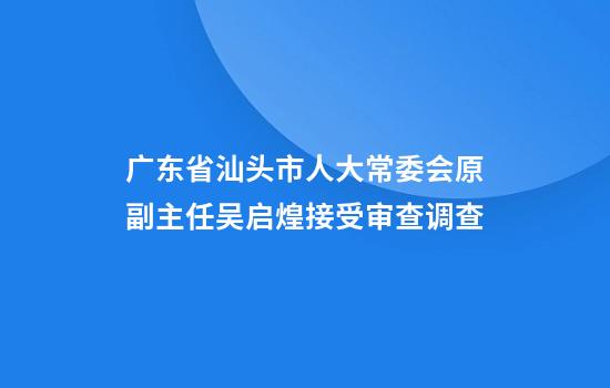 广东省汕头市人大常委会原副主任吴启煌接受审查调查