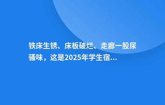 铁床生锈、床板破烂、走廊一股尿骚味，这是2025年学生宿舍？当地回应