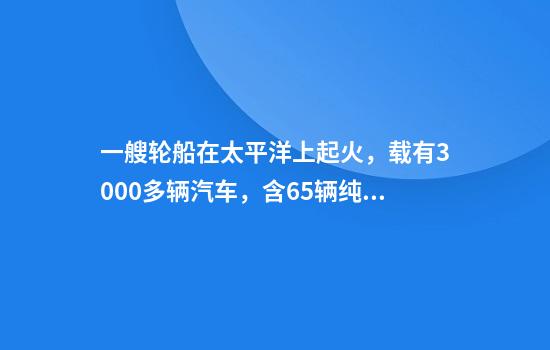 一艘轮船在太平洋上起火，载有3000多辆汽车，含65辆纯电车！22名船员被中远船只救起，大火暂未扑灭
