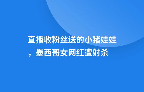 直播收粉丝送的小猪娃娃，墨西哥女网红遭射杀