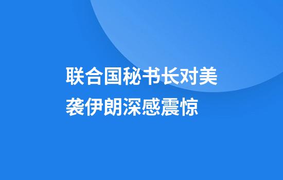 联合国秘书长对美袭伊朗深感震惊