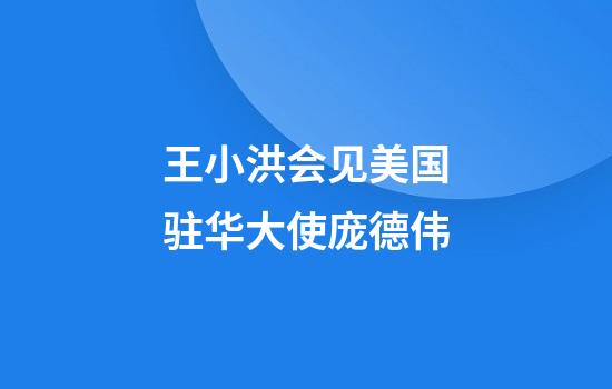 王小洪会见美国驻华大使庞德伟