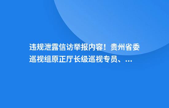 违规泄露信访举报内容！贵州省委巡视组原正厅长级巡视专员、一级高级监察官申勇被“双开”