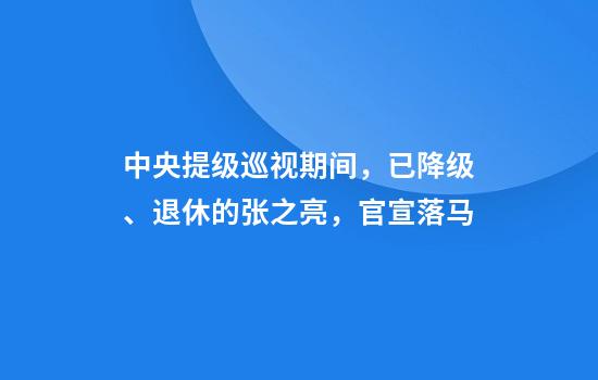 中央提级巡视期间，已降级、退休的张之亮，官宣落马