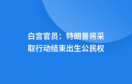 白宫官员:特朗普将采取行动结束出生公民权
