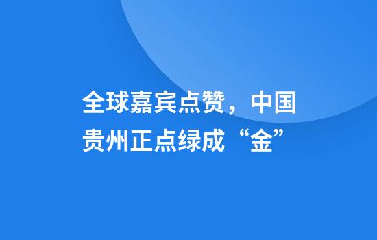 全球嘉宾点赞，中国贵州正点绿成“金”