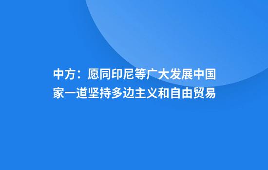 中方：愿同印尼等广大发展中国家一道坚持多边主义和自由贸易