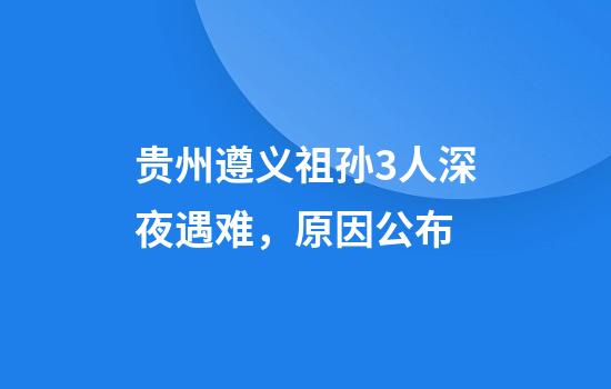 贵州遵义祖孙3人深夜遇难，原因公布