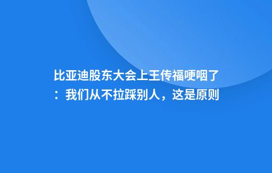 比亚迪股东大会上王传福哽咽了：我们从不拉踩别人，这是原则