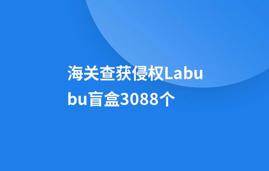 海关查获侵权Labubu盲盒3088个