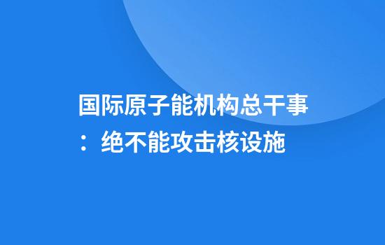 国际原子能机构总干事：绝不能攻击核设施