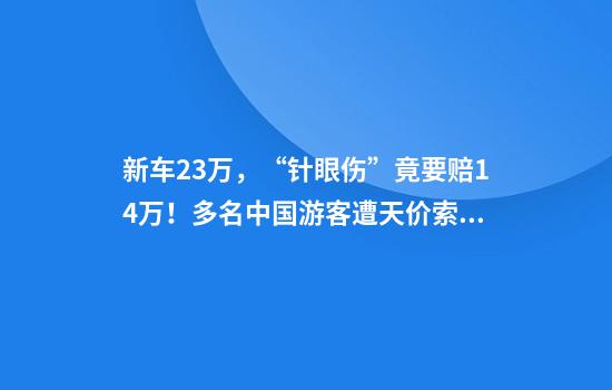 新车23万，“针眼伤”竟要赔14万！多名中国游客遭天价索赔