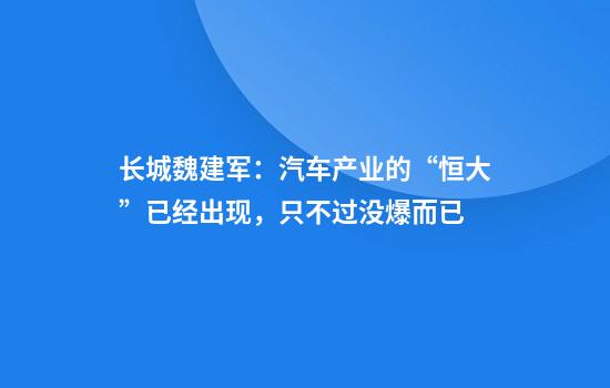 长城魏建军：汽车产业的“恒大”已经出现，只不过没爆而已