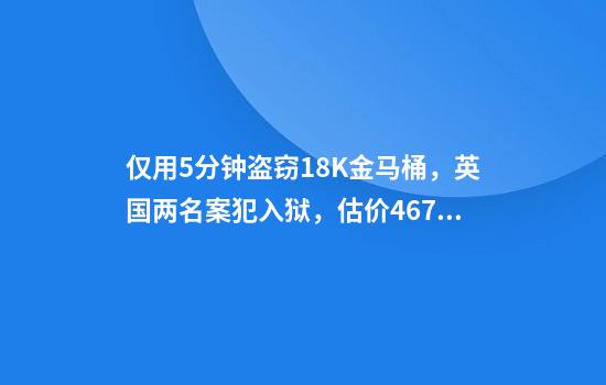 仅用5分钟盗窃18K金马桶，英国两名案犯入狱，估价4676万元人民币！