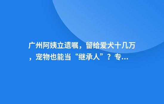 广州阿姨立遗嘱，留给爱犬十几万，宠物也能当“继承人”？专家分析