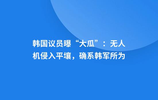 韩国议员曝“大瓜”：无人机侵入平壤，确系韩军所为