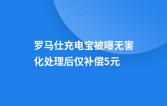 罗马仕充电宝被曝无害化处理后仅补偿5元