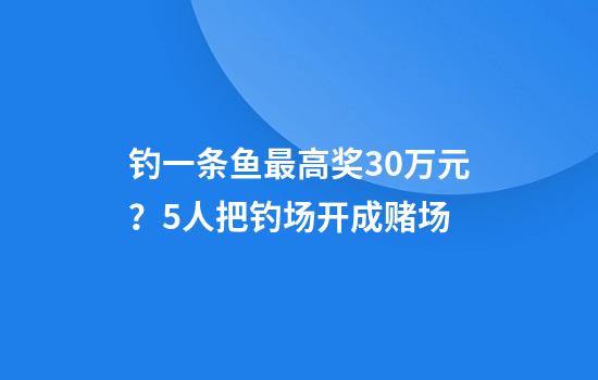 钓一条鱼最高奖30万元？5人把钓场开成赌场