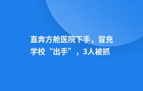 直奔方舱医院下手，冒充学校“出手”，3人被抓