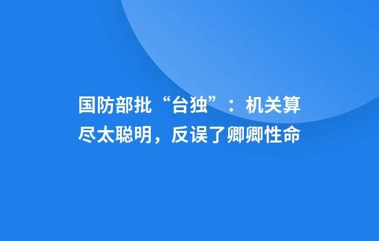 国防部批“台独”:机关算尽太聪明,反误了卿卿性命