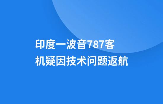 印度一波音787客机疑因技术问题返航