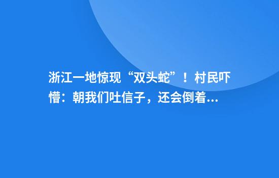 浙江一地惊现“双头蛇”！村民吓懵：朝我们吐信子，还会倒着爬