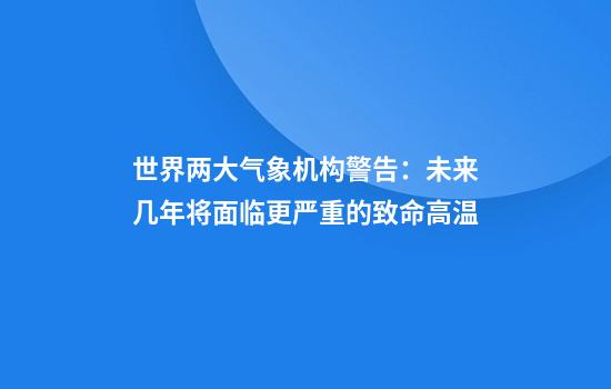 世界两大气象机构警告：未来几年将面临更严重的致命高温