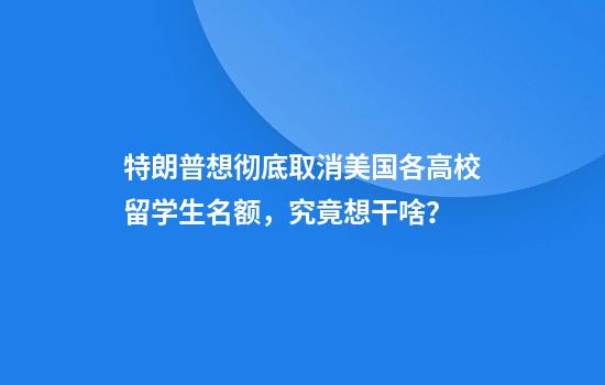 特朗普想彻底取消美国各高校留学生名额，究竟想干啥？