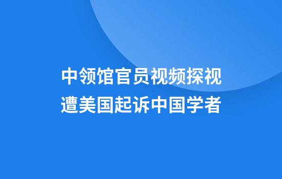 中领馆官员视频探视遭美国起诉中国学者